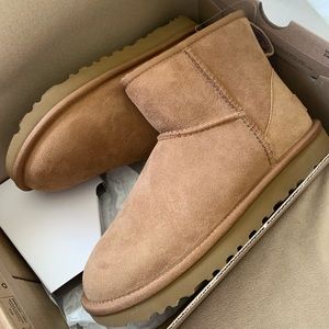NWT Women’s Ugg Classic Mini II in Chestnut